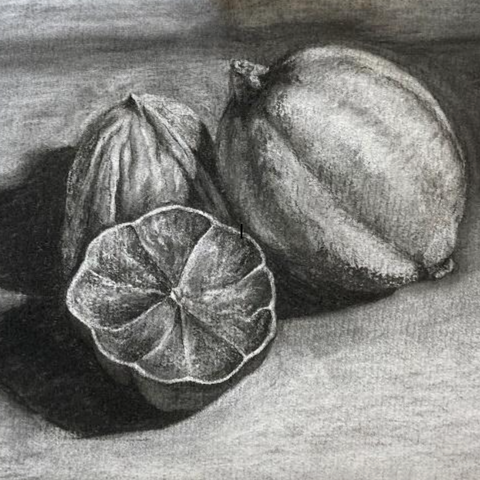 An introduction to Still Life Drawing