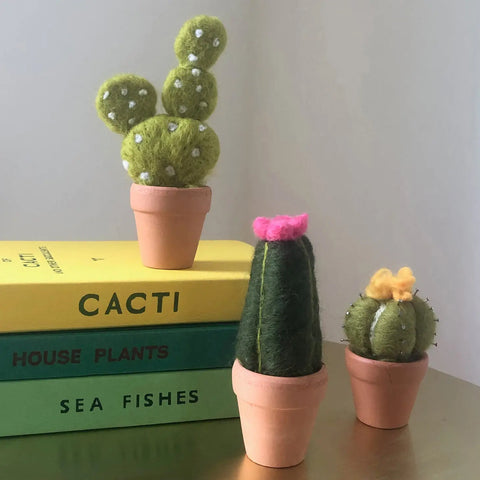 Needle Felting Cacti Kit