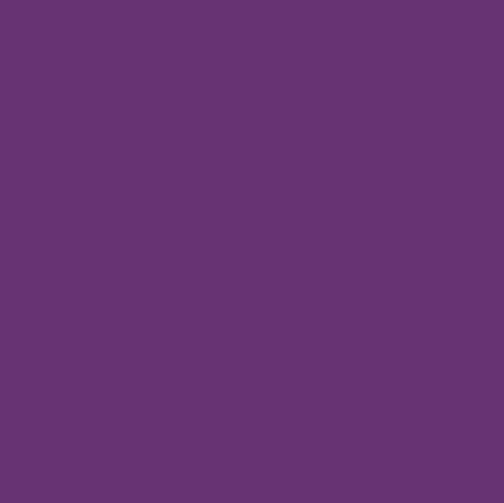 Wild Violet Cotton Jersey