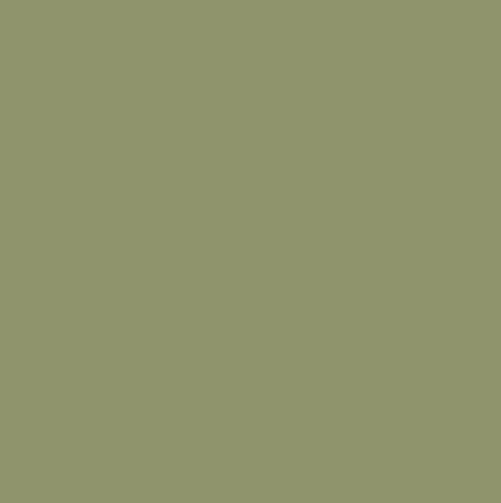 Pistachio Green Cotton Jersey